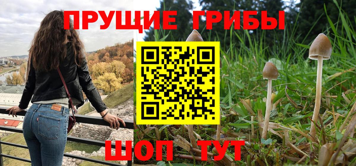 Псилоцибиновые грибы MAGIC MUSHROOMS Губкинский